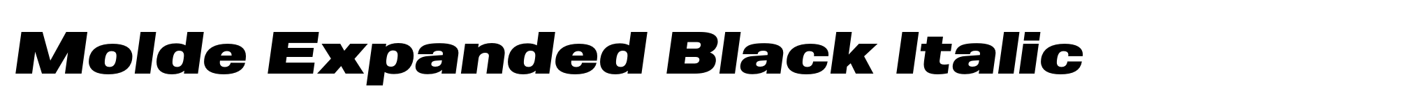 Molde Expanded Black Italic image